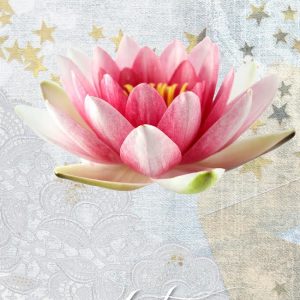 The Victorian Flower Oracle