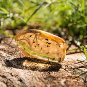 Copal / Amber Specimen with Insects - 21.5 grams