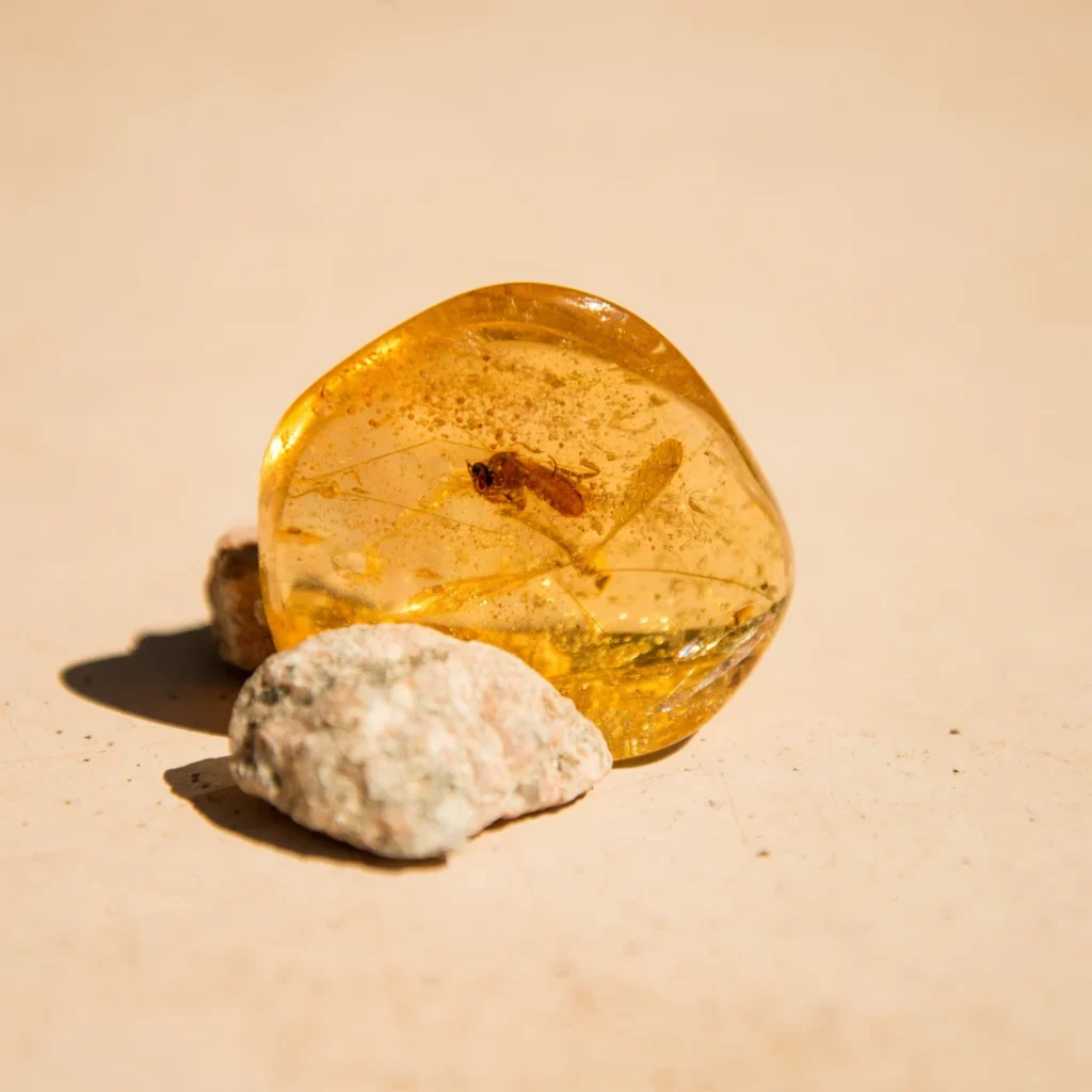 Copal / Amber Specimen with Insects - 21.5