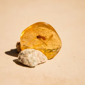 Copal / Amber Specimen with Insects - 21.5
