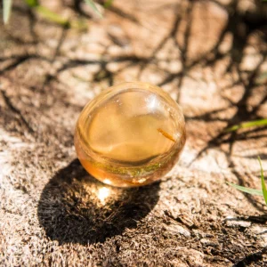 Copal / Amber Specimen with Plant Matter - 15.1 grams