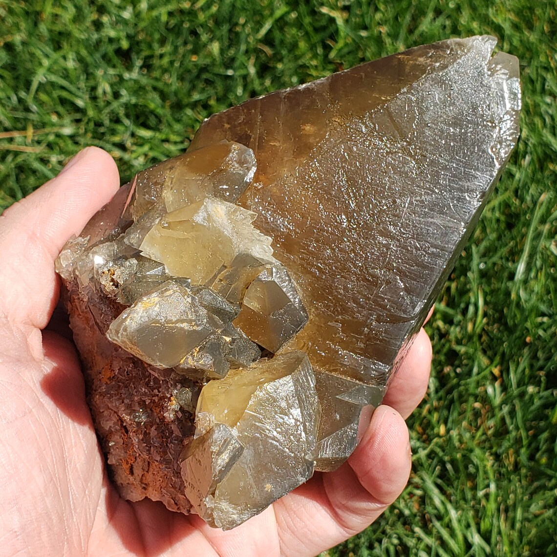 Dogtooth Calcite Cluster - Morocco - 669 grams - Image 5