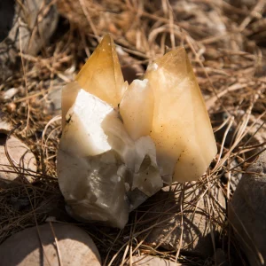 Dogtooth Calcite Cluster - Morocco - 773.3 grams