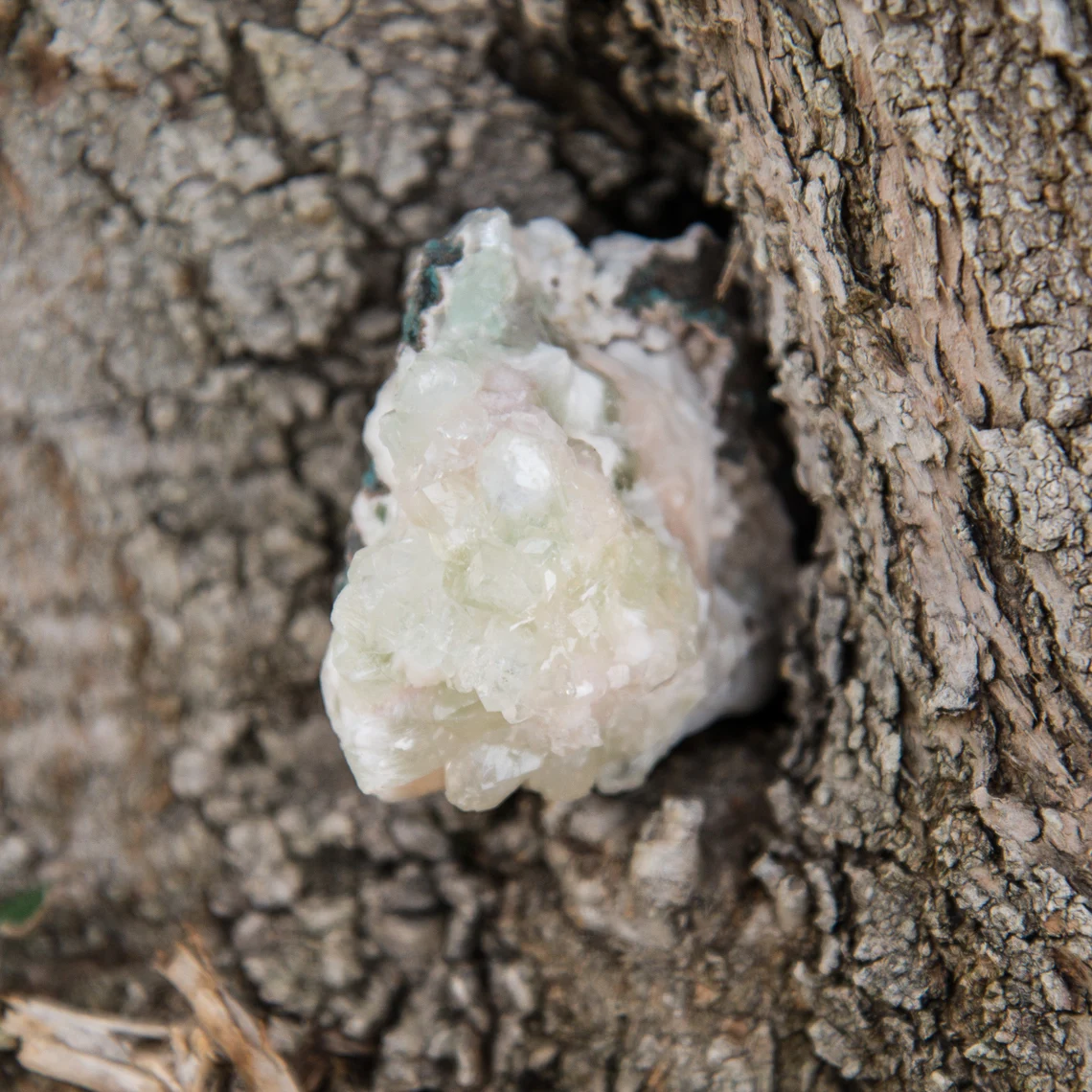 Green Apophyllite Cluster - India - Image 2