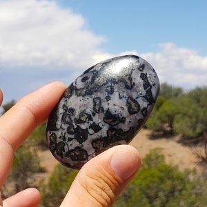 Indigo Gabbro (Mystic Merlinite) Palmstone - Madagascar - 80.1 grams