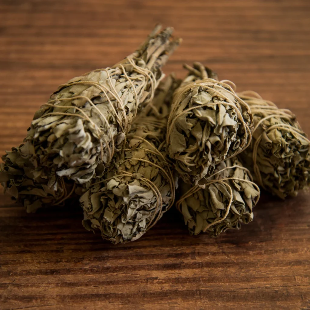 Set of 3 White Sage Bundles ~ 4.8 inches
