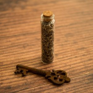 Vial of Hekate Incense + Vintage Key
