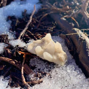 Witches Finger / Fairy / Spirit / Cactus Quartz Crystal - 27.7 grams