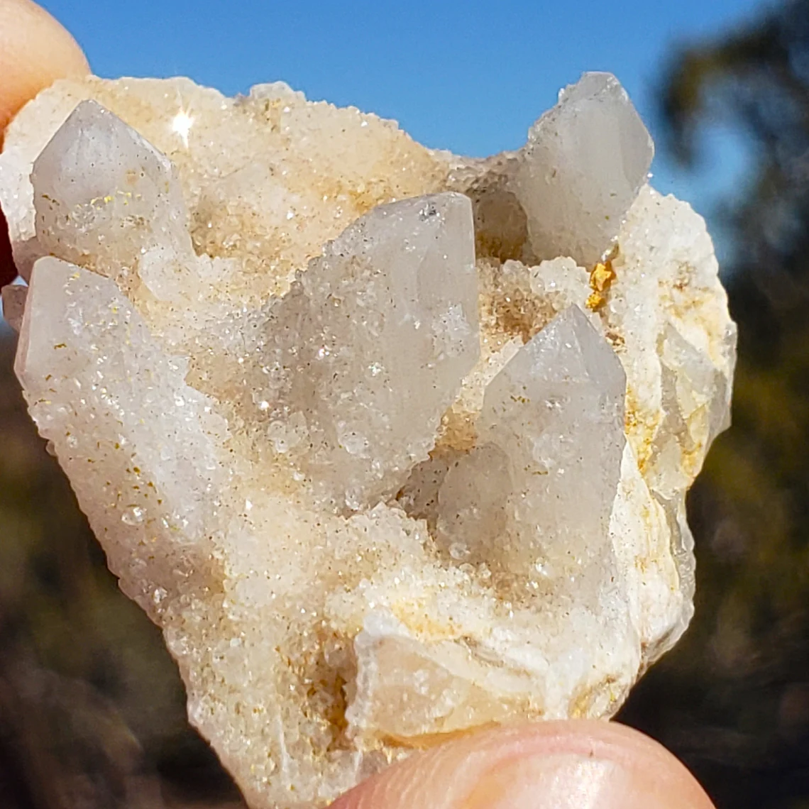Witches Finger / Fairy / Spirit / Cactus Quartz Crystal - 27.7 grams - Image 5
