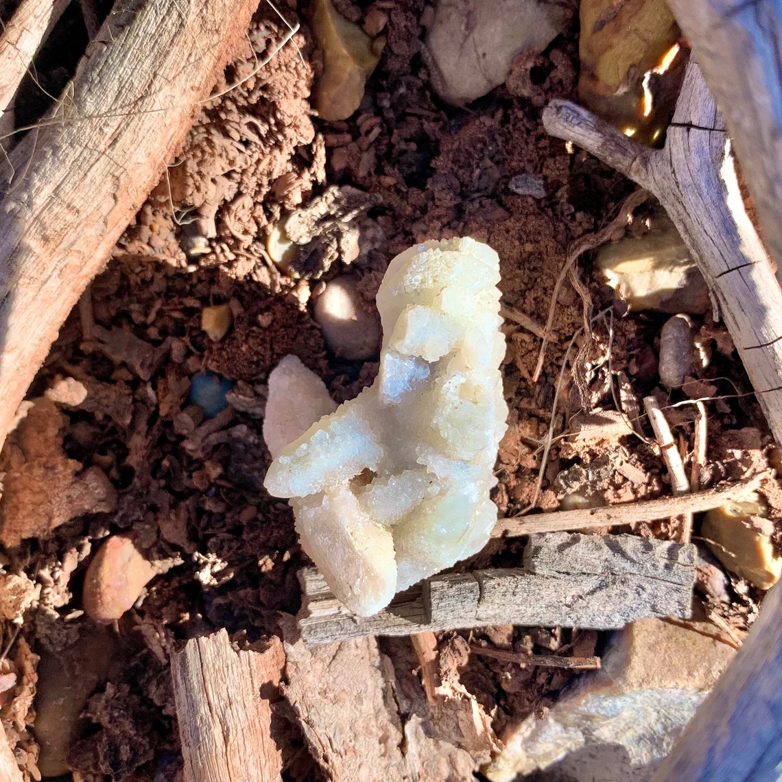 Witches Finger / Fairy / Spirit / Cactus Quartz Crystal - 50.8 grams - Image 2