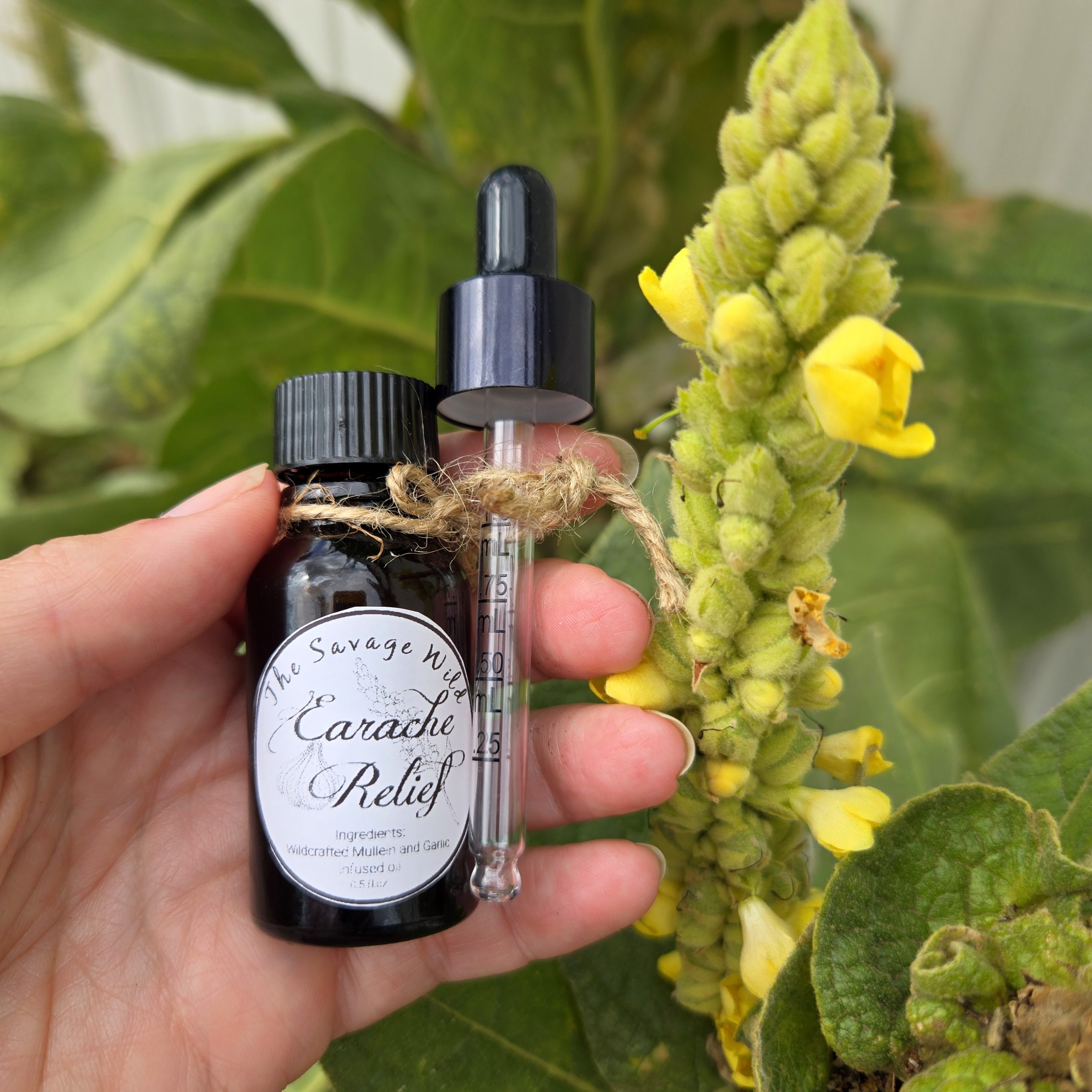 Mullein-Garlic Earache Relief - 0.5 oz - Image 3